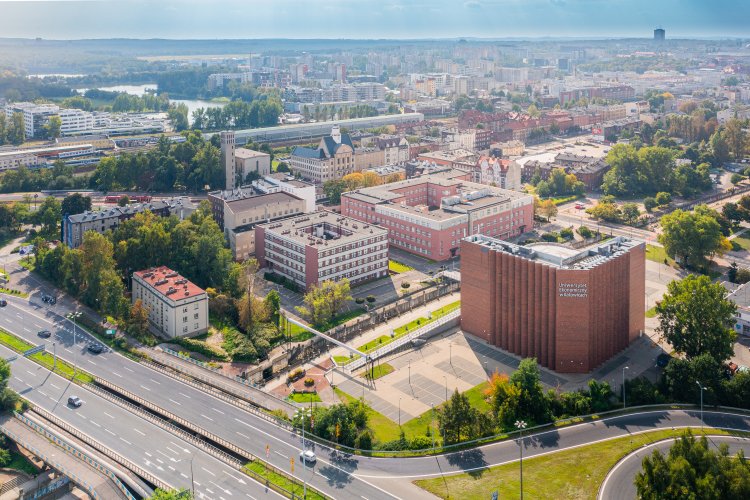 Uniwersytet Ekonomiczny w Katowicach (UE) - Najpopularniejsze kierunki