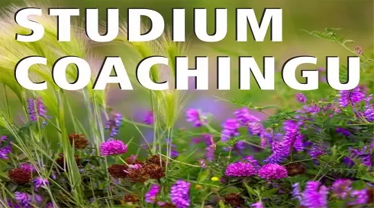 APS w Warszawie zaprasza na II edycję Studium Coachingu