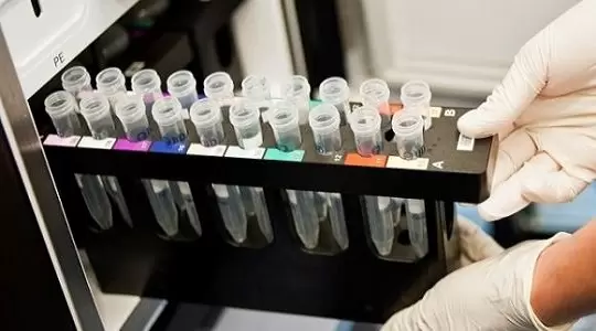 Granty na teorię literatury i szczepionki