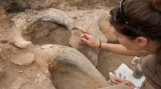 Uczelnie z kierunkiem archeologia w Gdańsku