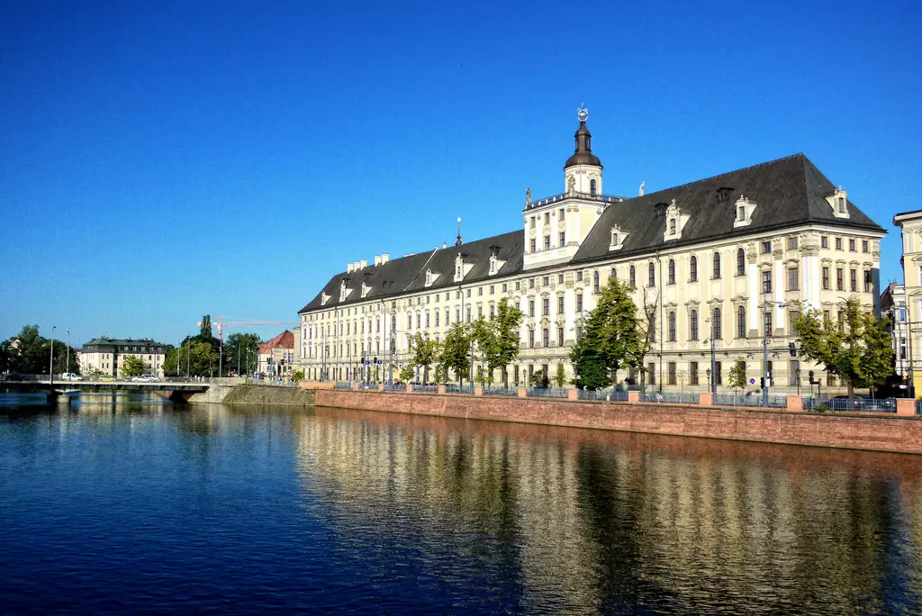 Finał FameLab z naukowcami Uniwersytetu Medycznego we Wrocławiu