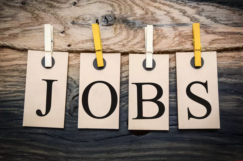 Jobsora - znajdź pracę marzeń!