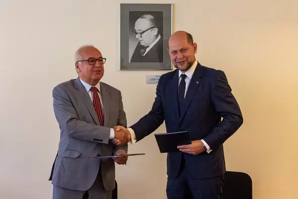 dyrektor mcd
