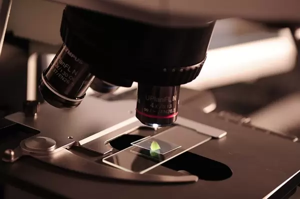 biotechnologia UAM
