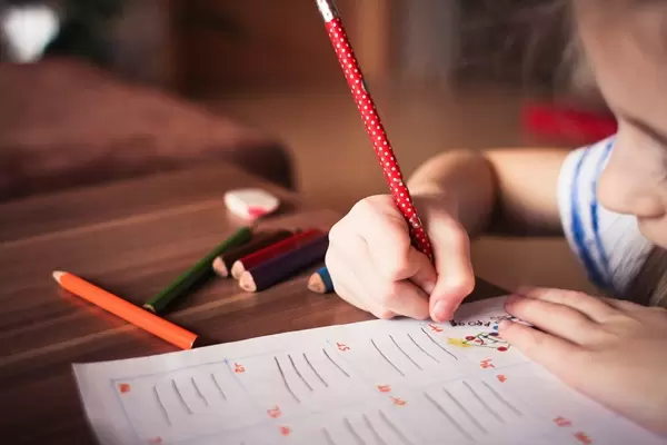 pedagogika