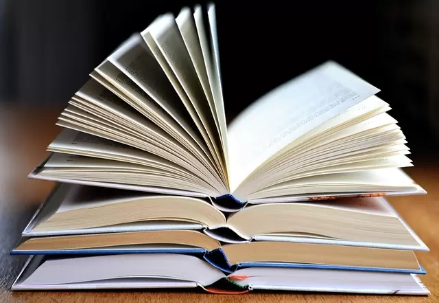 Najpopularniejsze kierunki studiów
