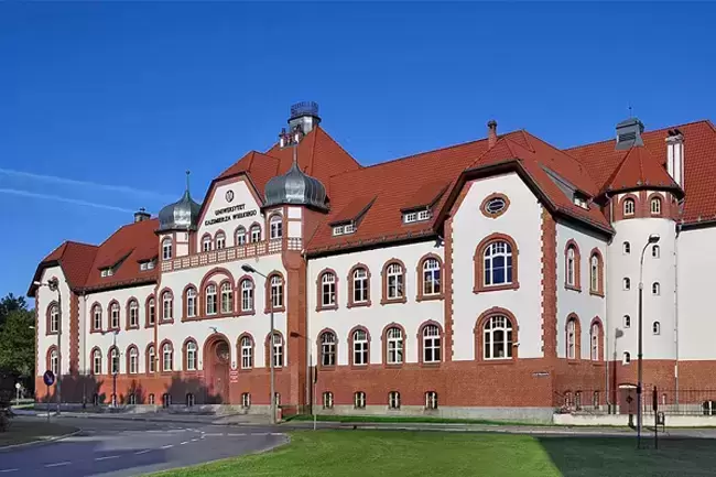 zdjecie