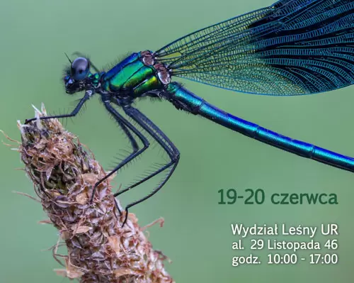 XIX OGÓLNOPOLSKIE DNI OWADA POD HASŁEM „SZANUJMY OWADY”- Uniwersytet Rolniczy w Krakowie 