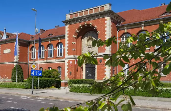 Najpopularniejsze kierunki studiów w Szczecinie