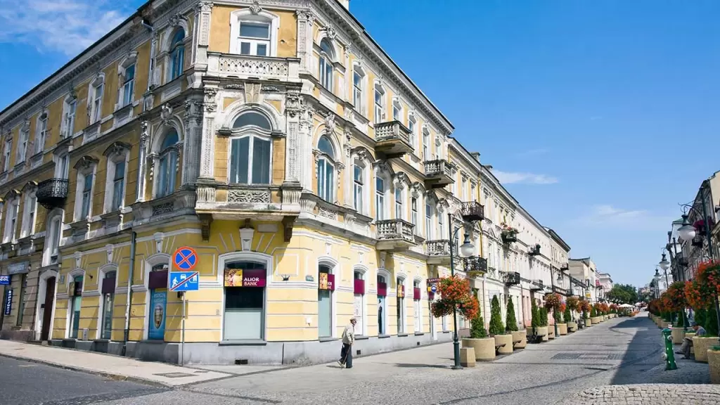 Najpopularniejsze kierunki studiów w Radomiu