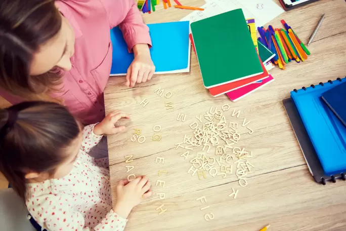 Opis studi&oacute;w na kierunku Pedagogika na Wyższej Szkole Przedsiębiorczości i Administracji