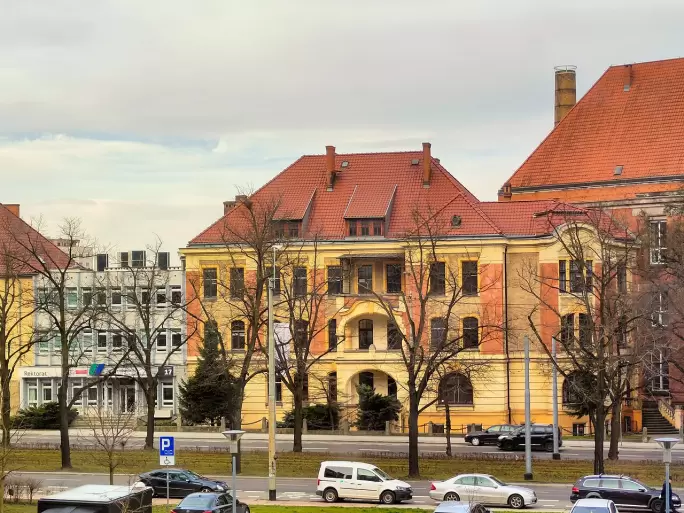TEKST ALTERNATYWNY