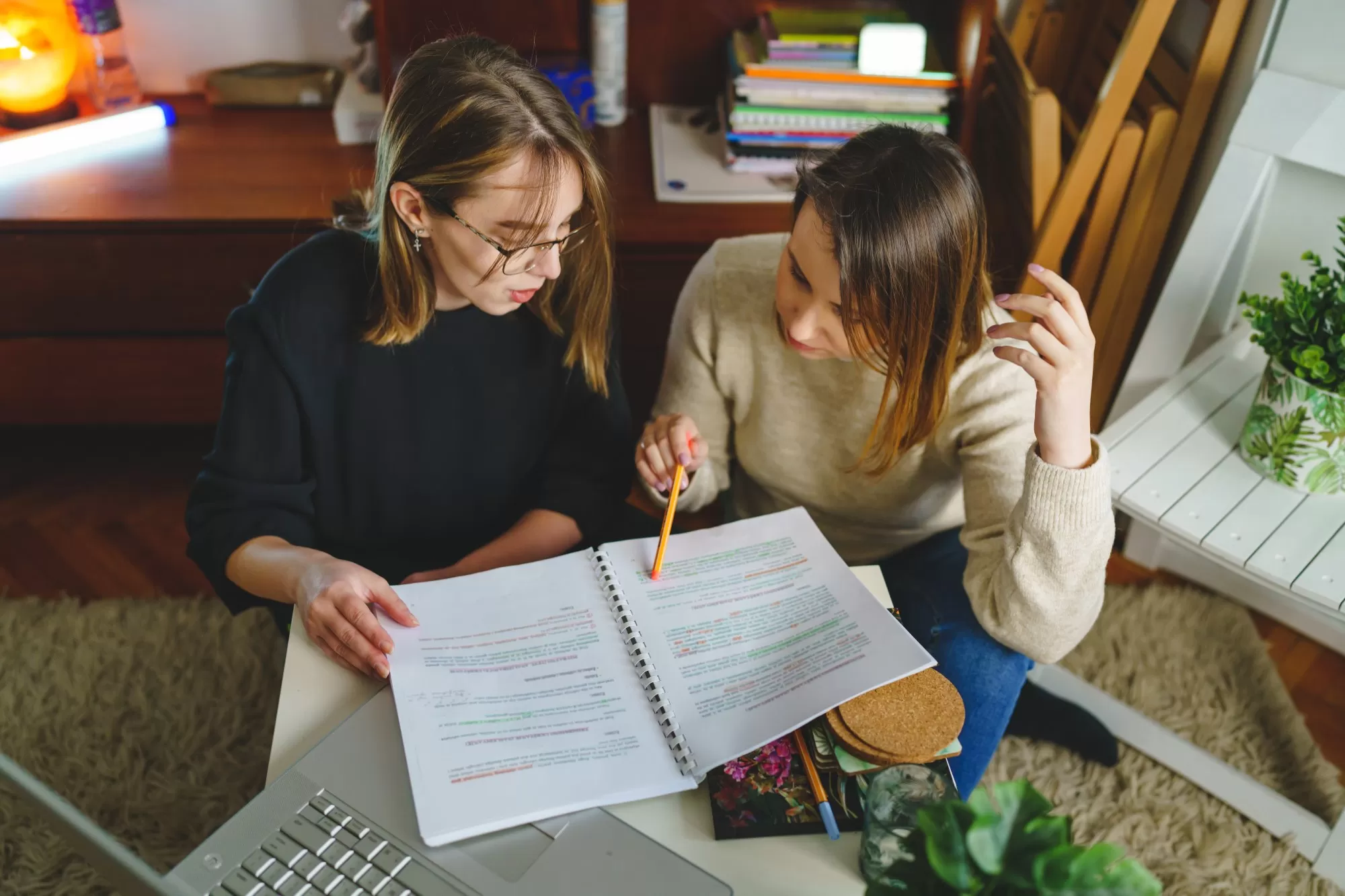 Psychologia, pedagogika, czy prawo? <br/> Studia dla humanisty 