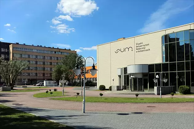 Progi punktowe na SUM - Ogólne informacje