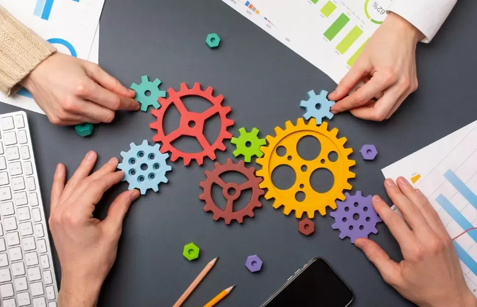 Studia Zarządzanie w Szczecinie