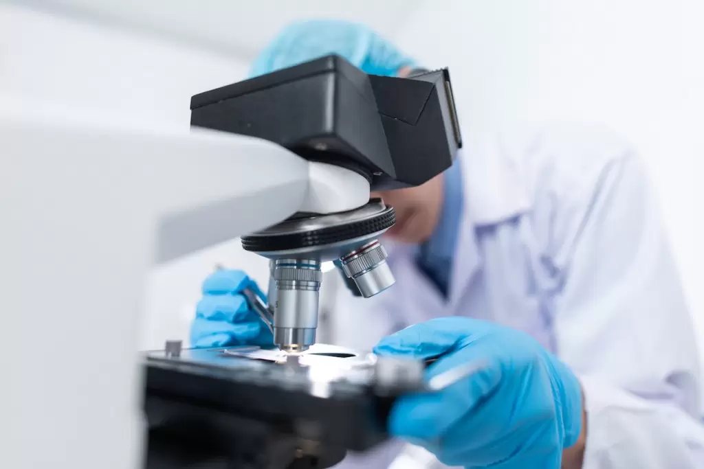 Medyczna biotechnologia molekularna - studia jednolite magisterskie we Wrocławiu