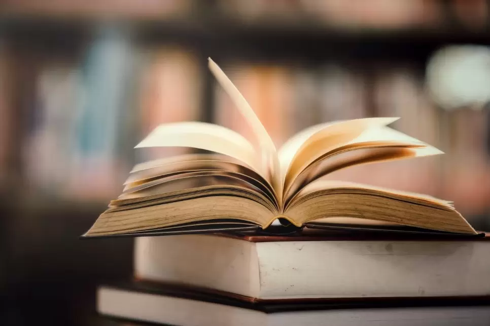 Studia jednolite magisterskie stopnia w Łodzi