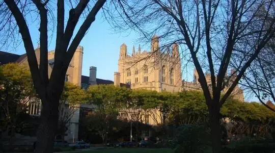 10. University of Chicago