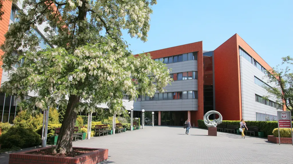 Student testuje studia, czyli świat do góry nogami