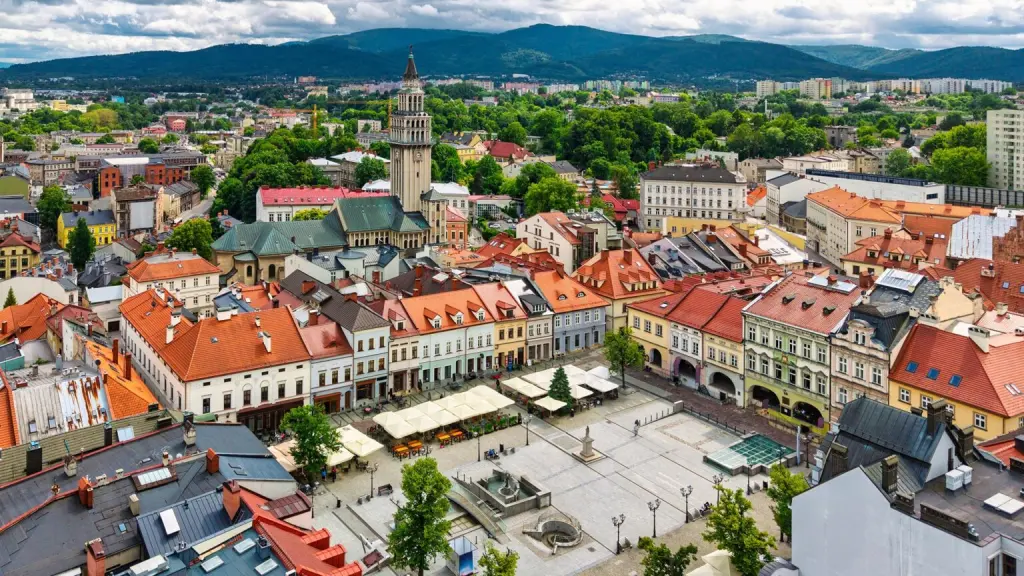 Co sprawdzić, analizując opinie o uczelniach w Bielsku-Białej?