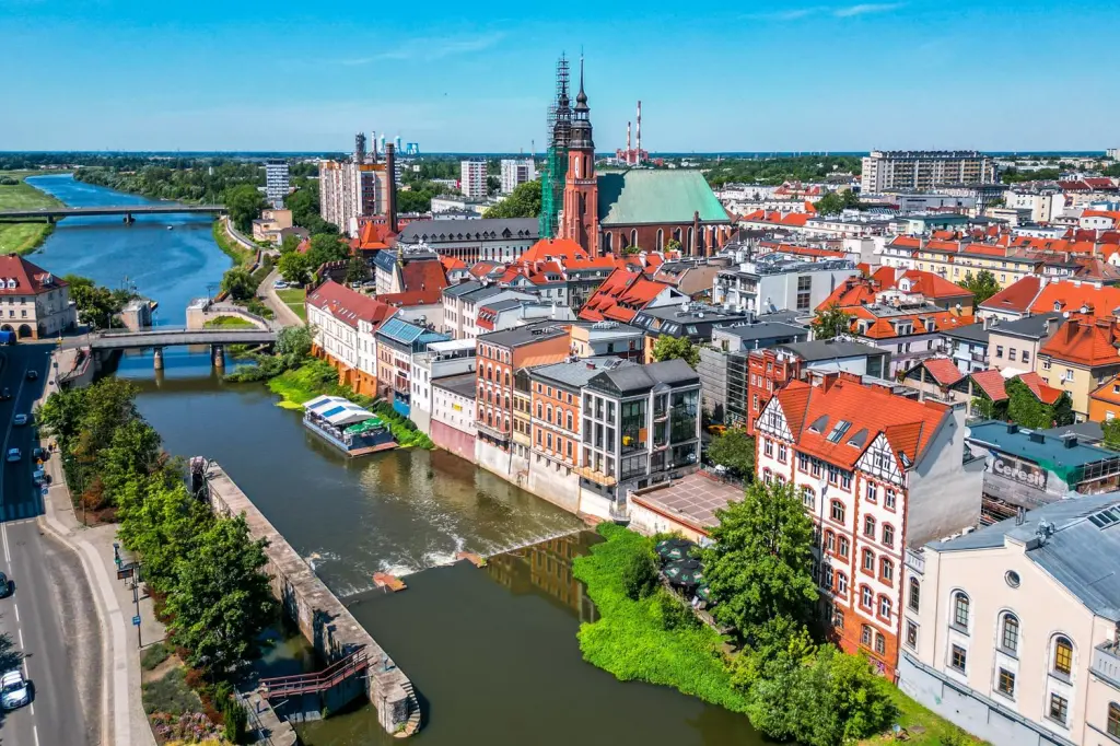 Jak interpretować opinie o uczelniach w Opolu?