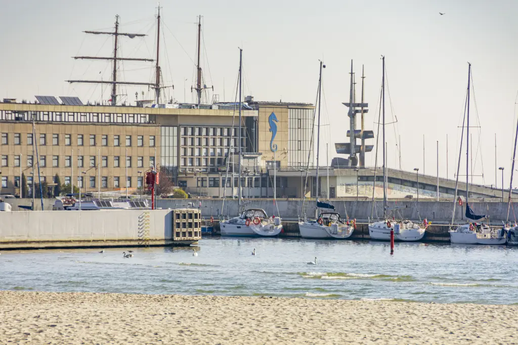 Na jakie elementy zwrócić uwagę, czytając opinie o uczelniach w Gdyni?