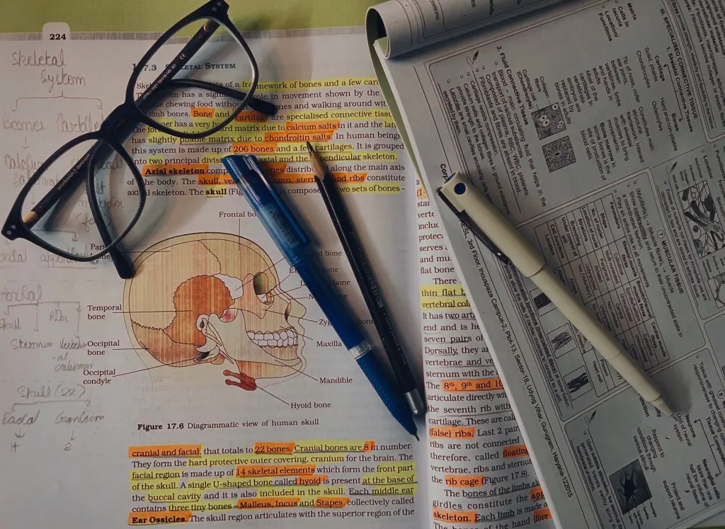 Jak skutecznie uczyć się biologii na poziomie rozszerzonym w liceum? Porady dla przyszłych medyków i przyrodników