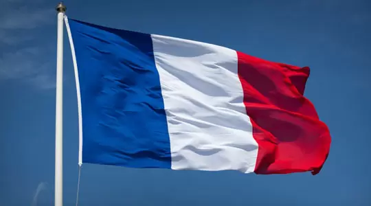 Język francuski - DALF (C1)