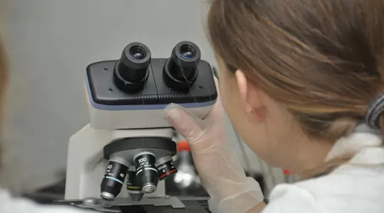 Innowacyjność w nauczaniu weterynarii 