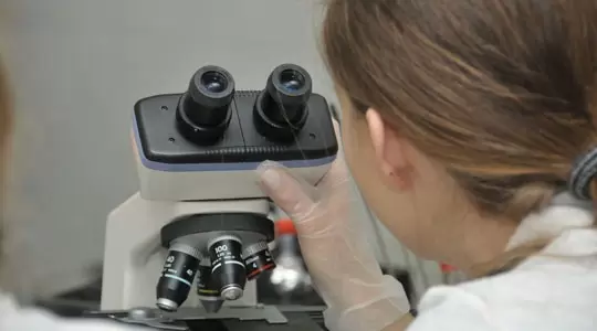 Bezpłatny kurs z biologii dla maturzystów