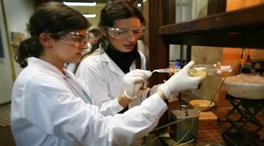 Human Brain Project flagowym projektem Unii Europejskiej programu FET