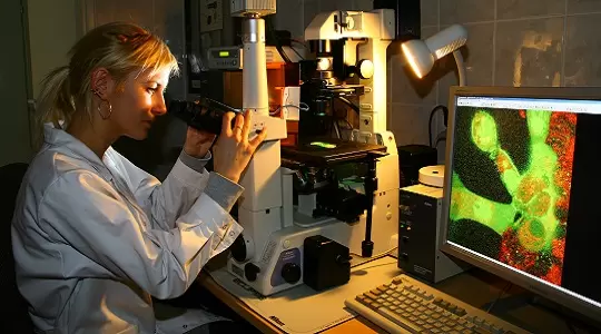 Doktoranci z Uniwersytetu Gdańskiego w finale konkursu Polski Wynalazek 2013!