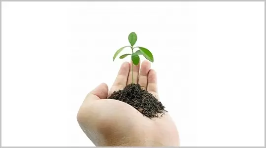 Rośliny ulepszone genetycznie - nadzieja czy zagrożenie? - wykład prof. dr hab. Ewy Łojkowskiej z UG