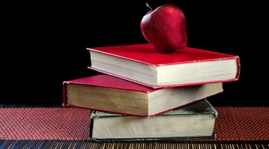 Czego najchętniej uczymy się w szkołach wyższych