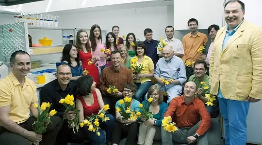 Badacze z UMCS odkryli jak rośliny radzą sobie z nadmiarem światła