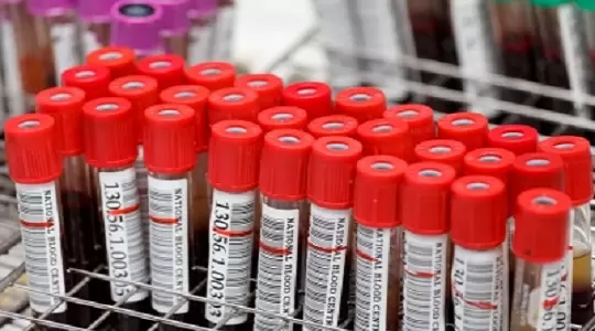 Listopadowa Wampiriada na Uniwersytecie Gdańskim