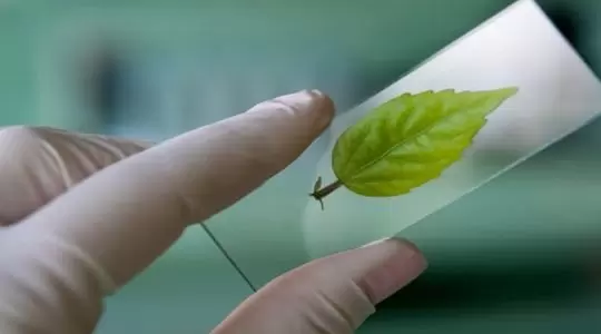 Noc Biologów na UKW w Bydgoszczy