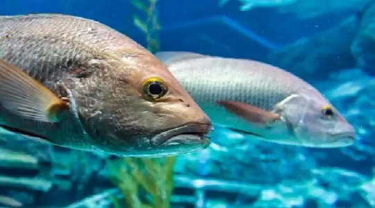 Wernisaż w PSW - Piotr Stós i jego podwodna fotografia