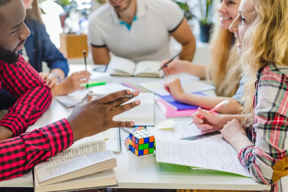 Które kierunki na Lubelskiej Szkole Wyższej w Rykach cieszą się największą popularnością wśród studentów?