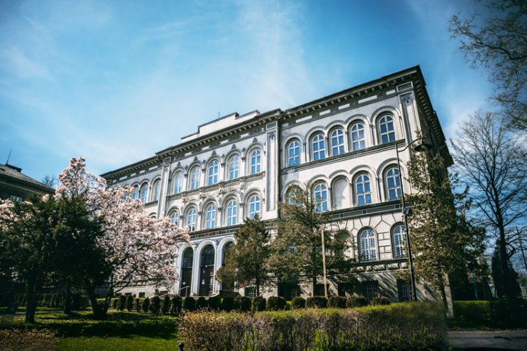 Najpopularniejsze kierunki studiów w Bielsku-Białej