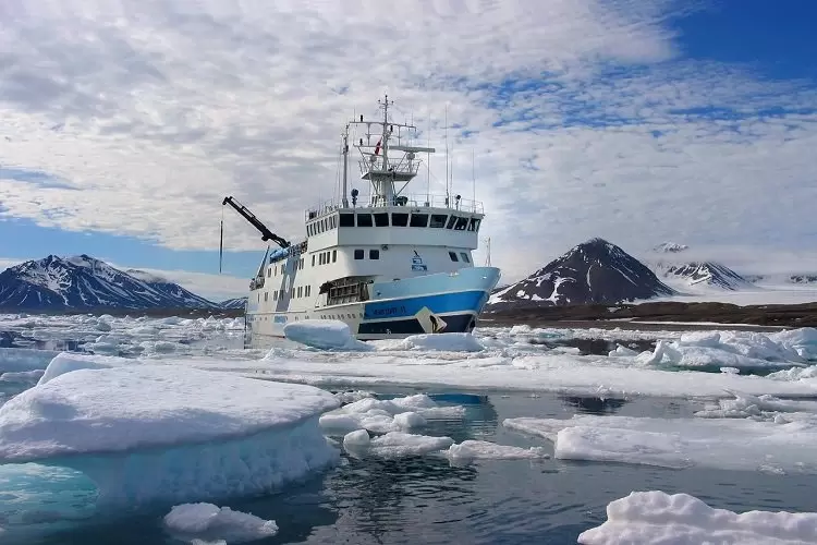 Galeria Uniwersytet Morski w Gdyni (UMG)