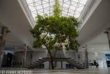 Galeria Wyższa Szkoła Biznesu - National-Louis University w Nowym Sączu
