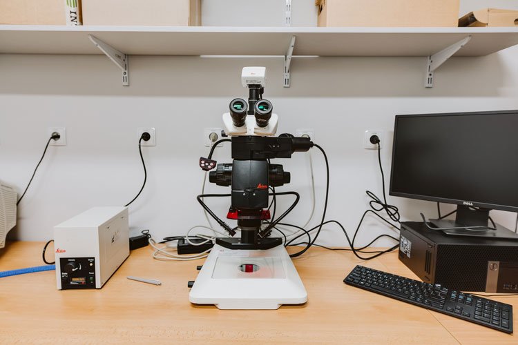 Galeria Wydział Biotechnologii (BIOTECH) Uniwersytetu Wrocławskiego