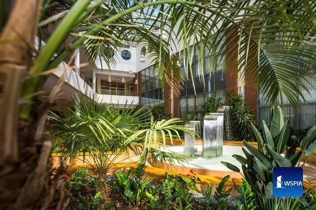 WSPiA Rzeszowska Szkoła Wyższa - zdjęcie 12