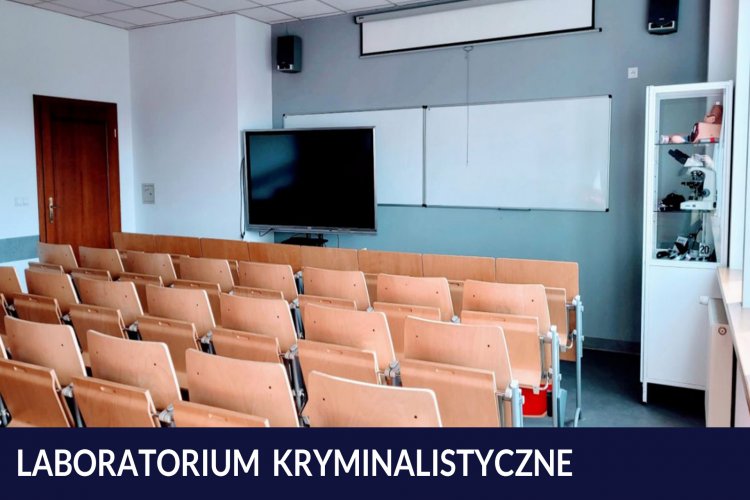 Galeria Wyższa Szkoła Humanitas (WSH)
