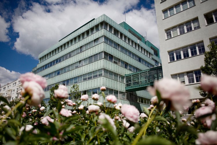 Zdjęcie uczelni - Uniwersytet Gdański (UG)