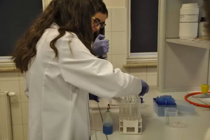 Zdjęcie uczelni - Akademia Nauk Stosowanych w Nowym Sączu