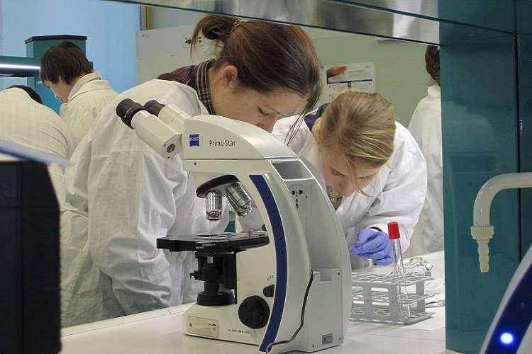 Zdjęcie uczelni - Uniwersytet Przyrodniczy (UP) w Poznaniu