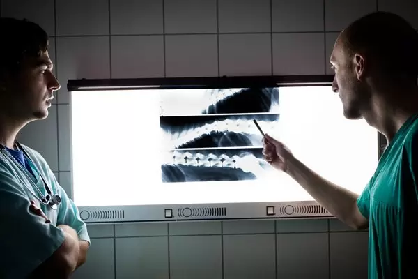 Zdjęcie uczelni - Szkoła Główna Gospodarstwa Wiejskiego w Warszawie (SGGW)